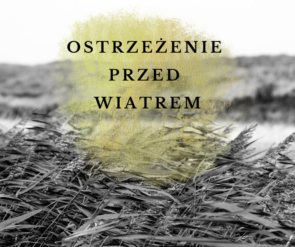 Wiatr średniej prędkości.